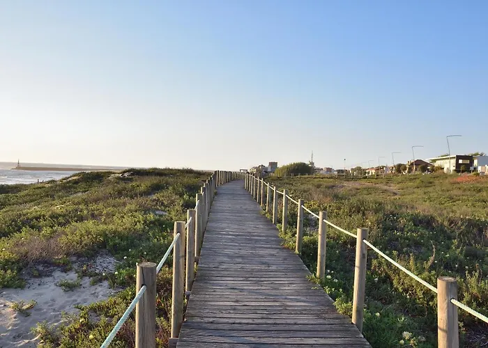 Retiro Da Da Aguda Willa *